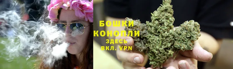 Канабис White Widow  наркошоп  Городец 